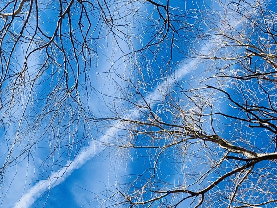 IMG_0608.jpg?type=w966