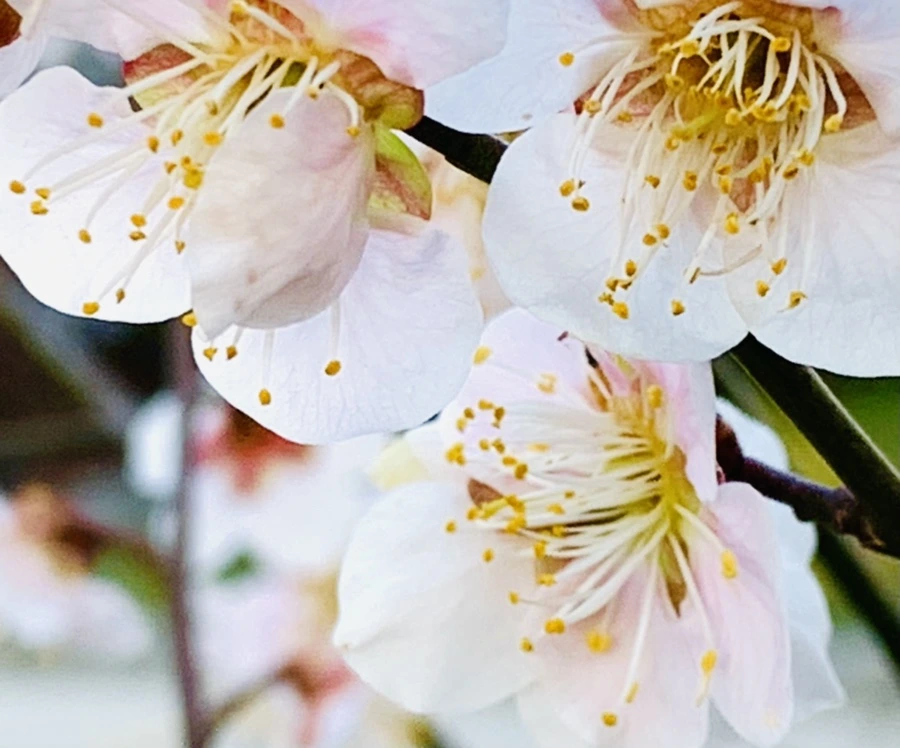 IMG_0891.jpg?type=w966