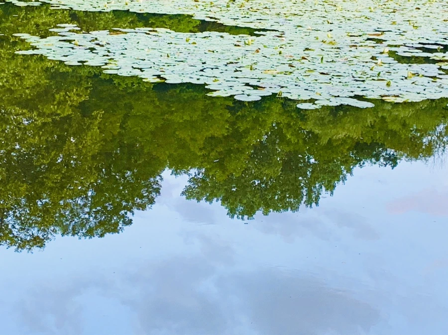 IMG_2997.jpg?type=w966