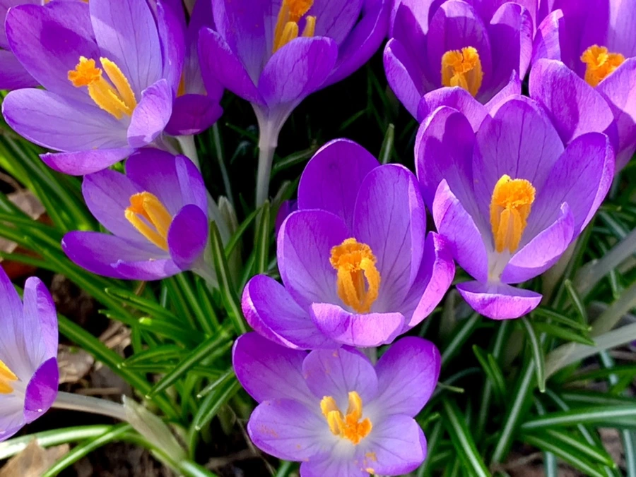 IMG_0143.jpg?type=w966