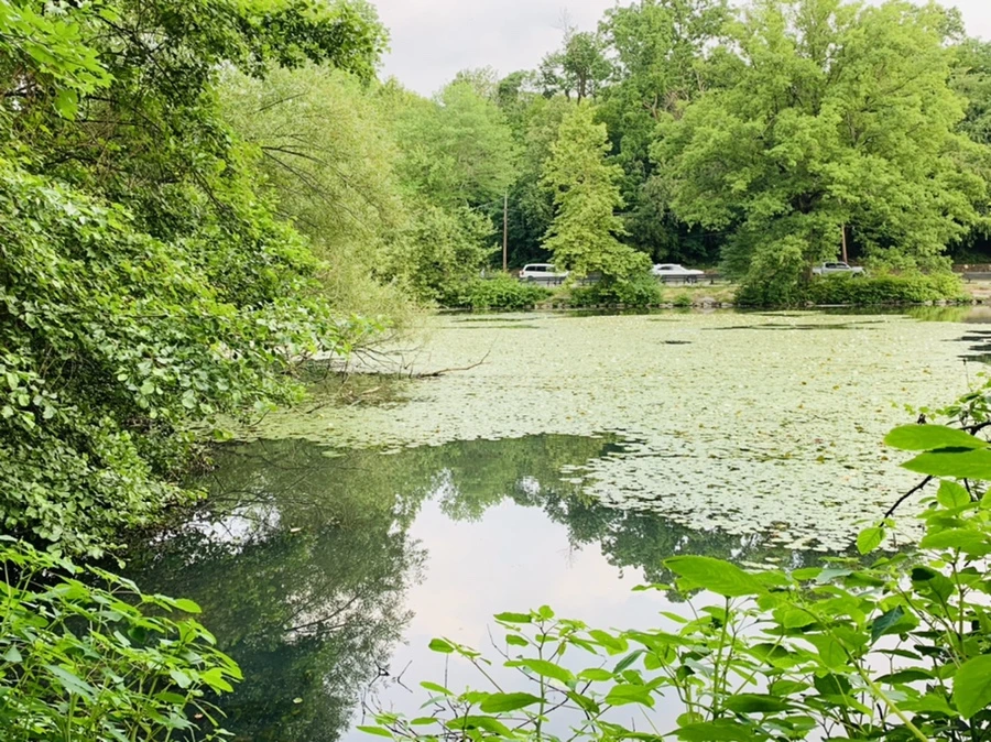 IMG_1476.jpg?type=w966