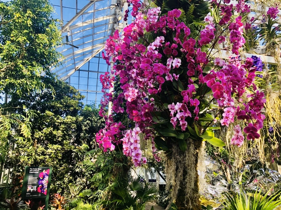 IMG_6233.jpg?type=w966