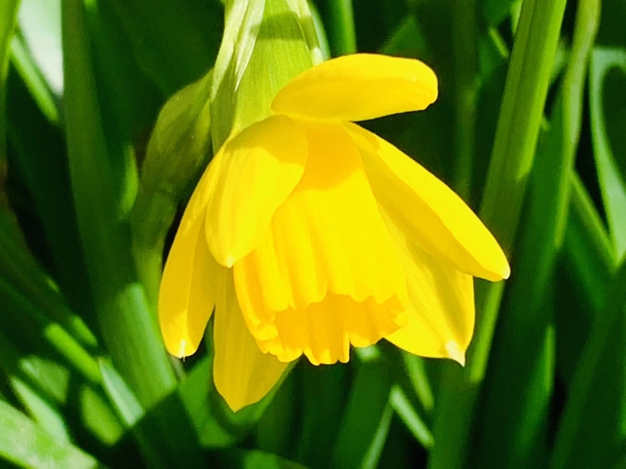 IMG_3419.jpg?type=w966