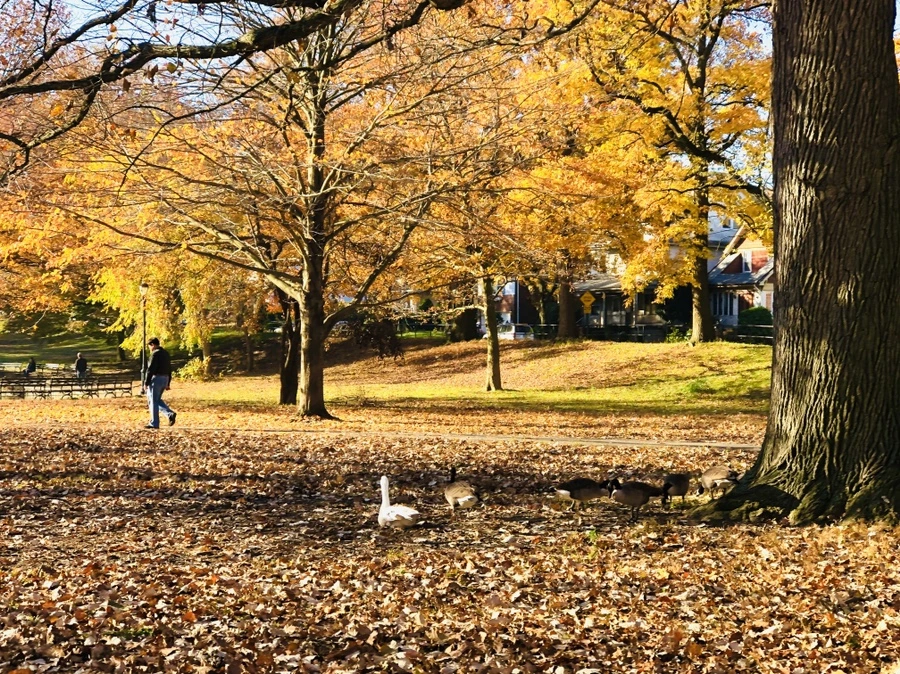 IMG_4125.jpg?type=w966