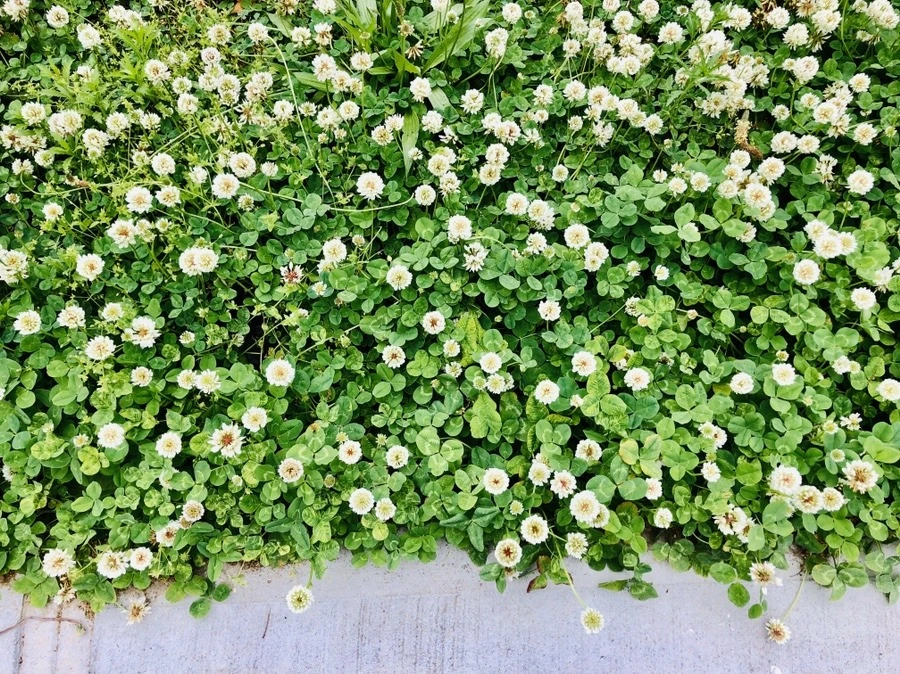 PJMlynVfgviuQ5J9RxkAqY67cGc