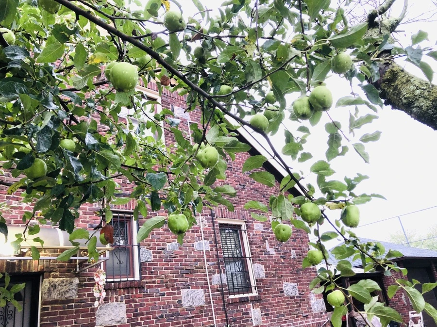 IMG_5824.jpg?type=w966