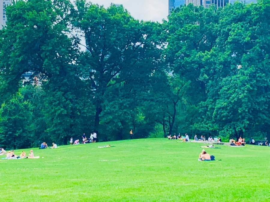 IMG_1563.jpg?type=w966