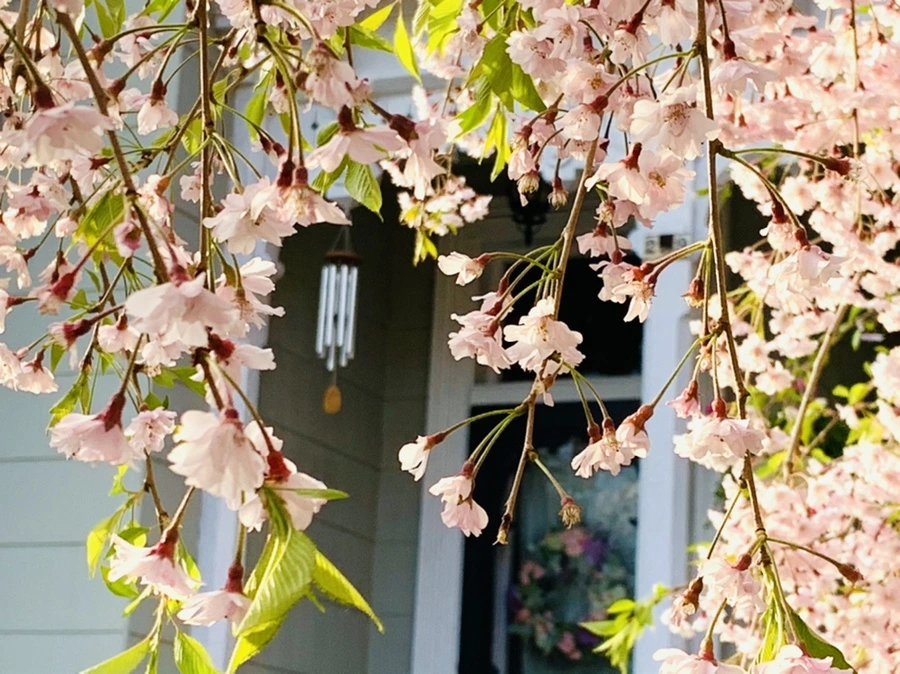 IMG_3716.jpg?type=w966