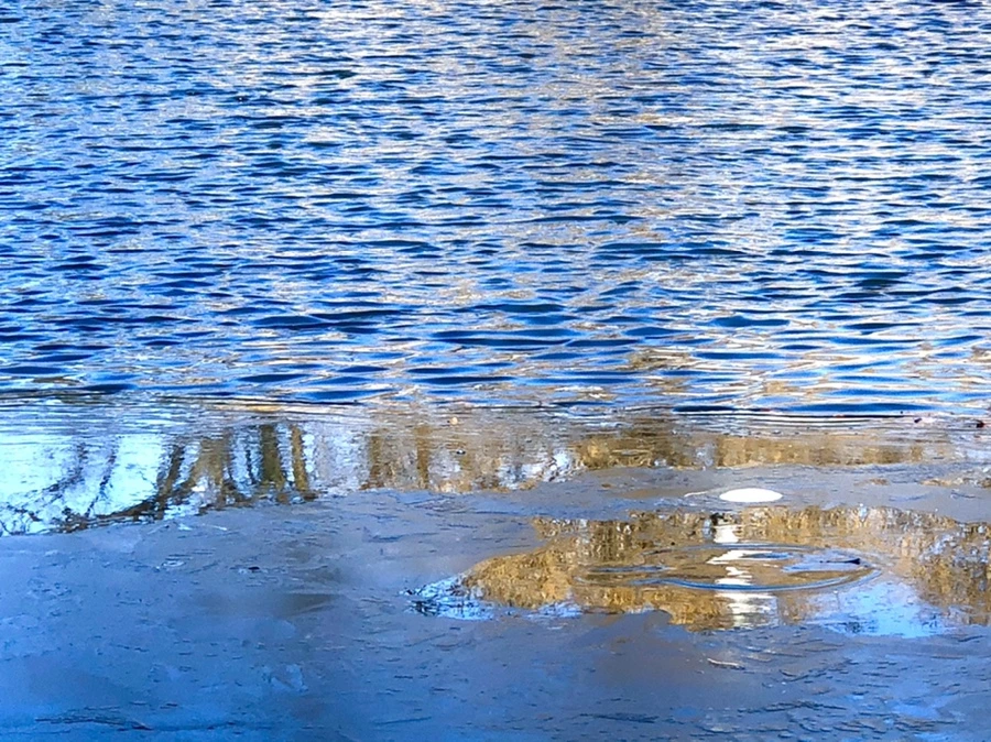 IMG_0561.jpg?type=w966