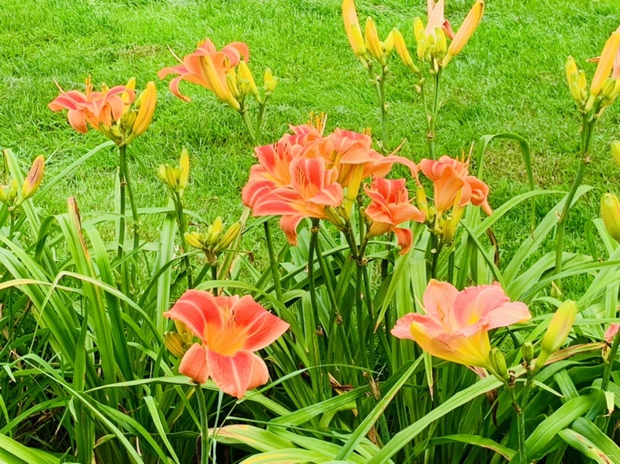 IMG_2580.jpg?type=w966