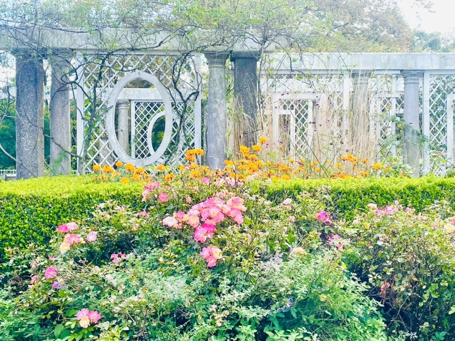 IMG_0148.jpg?type=w966