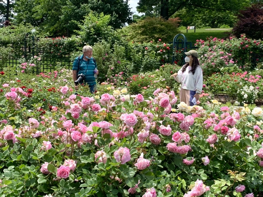 IMG_8505.jpg?type=w966