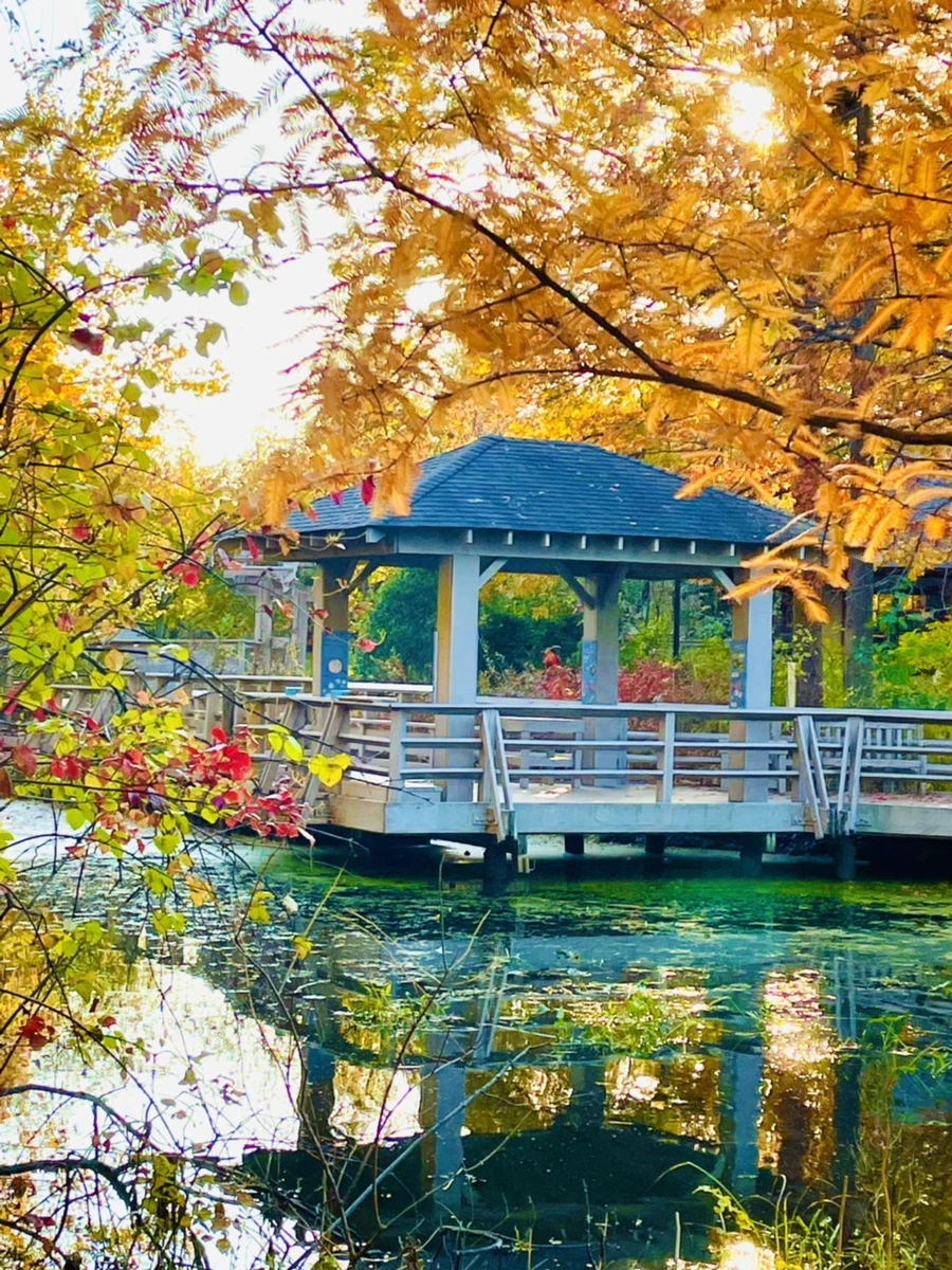 IMG_1825.jpg?type=w966