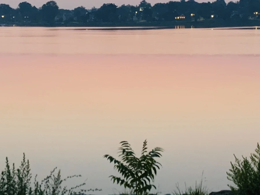 IMG_1835.jpg?type=w966