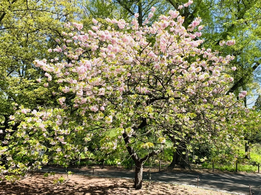 IMG_6299.jpg?type=w966