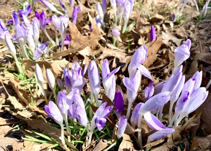 IMG_1414.jpg?type=w966