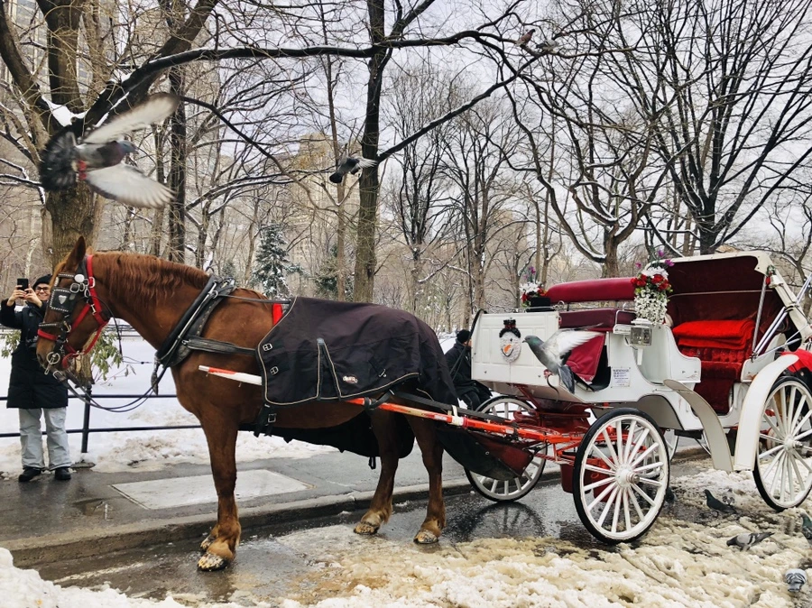 IMG_0369.jpg?type=w966