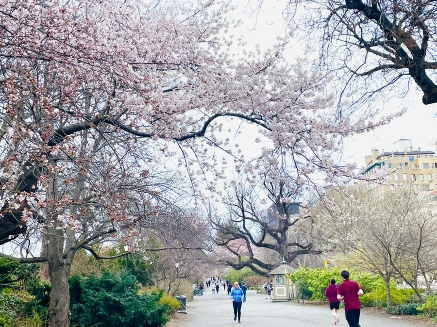 IMG_8226.jpg?type=w966