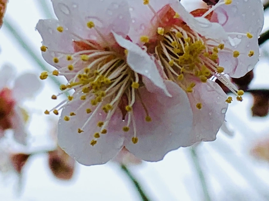 IMG_1889.jpg?type=w966