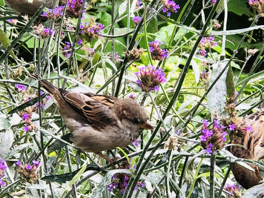 IMG_0146.jpg?type=w966