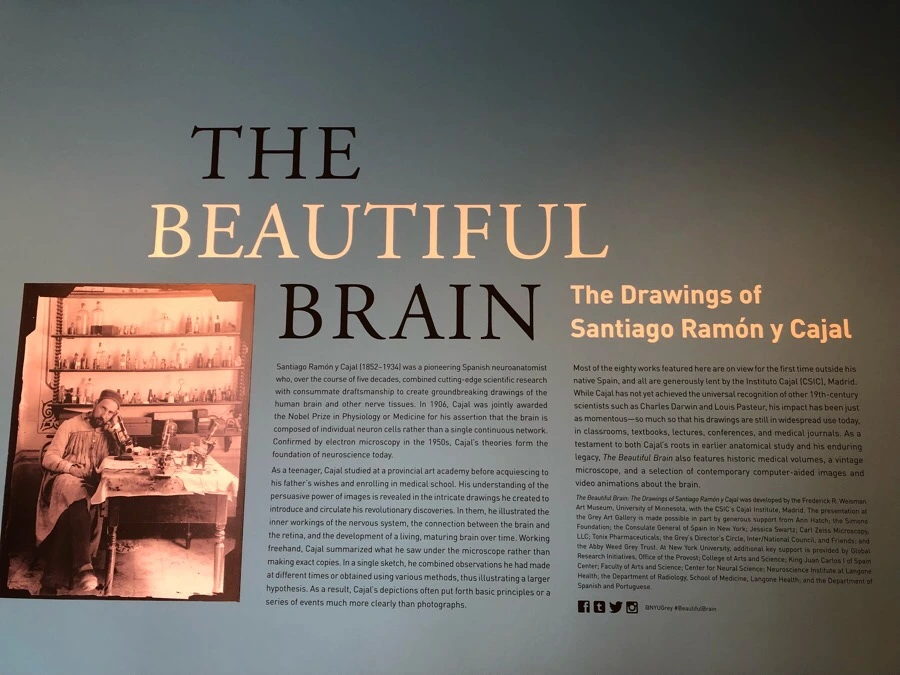 IMG_3323.jpg?type=w966