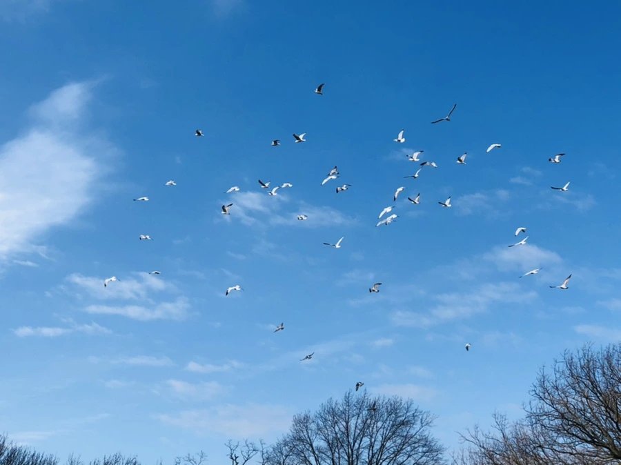 IMG_4715.jpg?type=w966