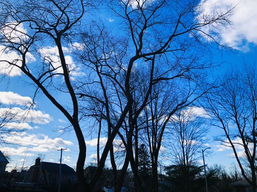 IMG_7553.jpg?type=w966