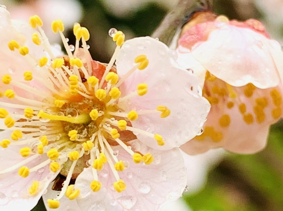 IMG_1845.jpg?type=w966