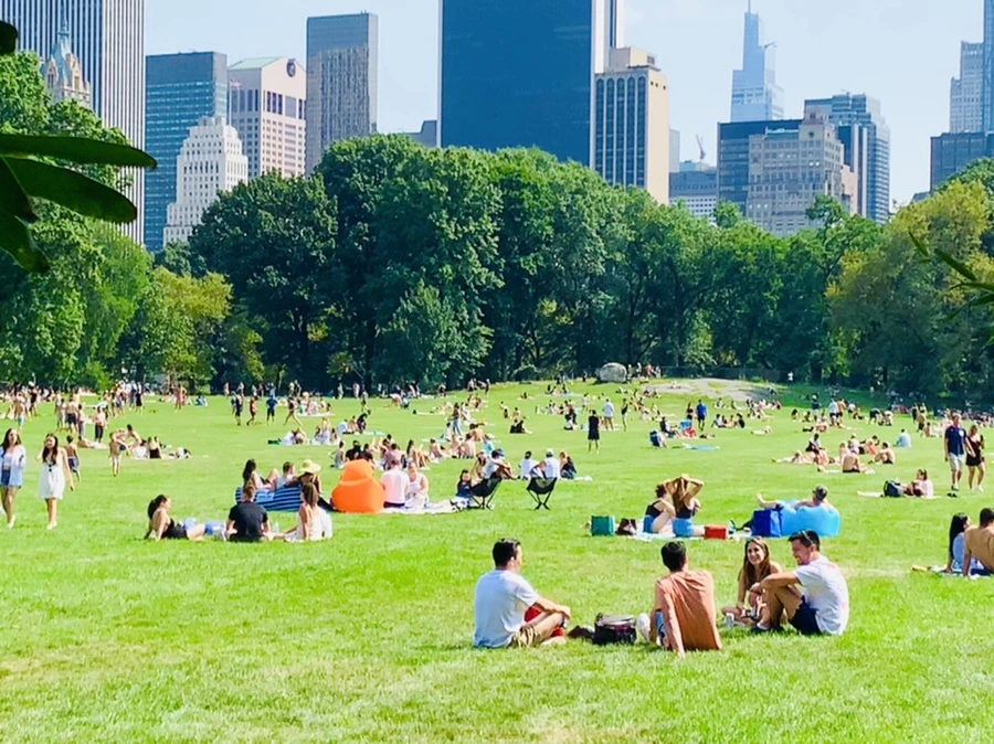 IMG_0607.jpg?type=w966