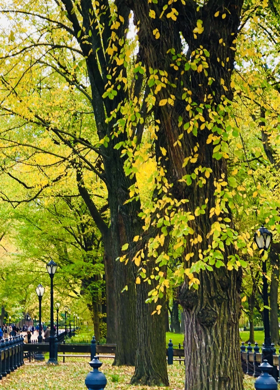 IMG_3080.jpg?type=w966