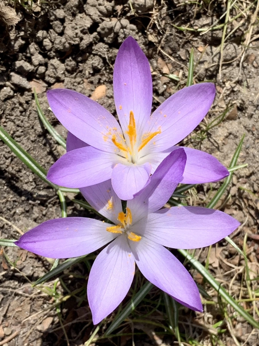 IMG_9191.jpg?type=w966