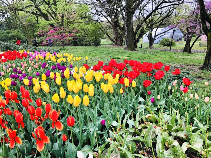 IMG_3719.jpg?type=w966