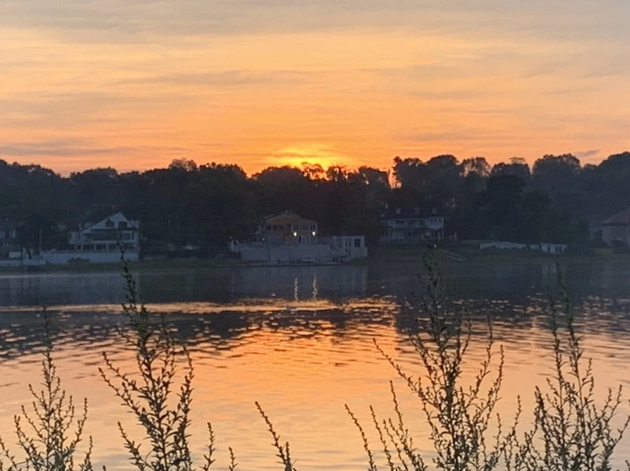 IMG_6803.jpg?type=w966