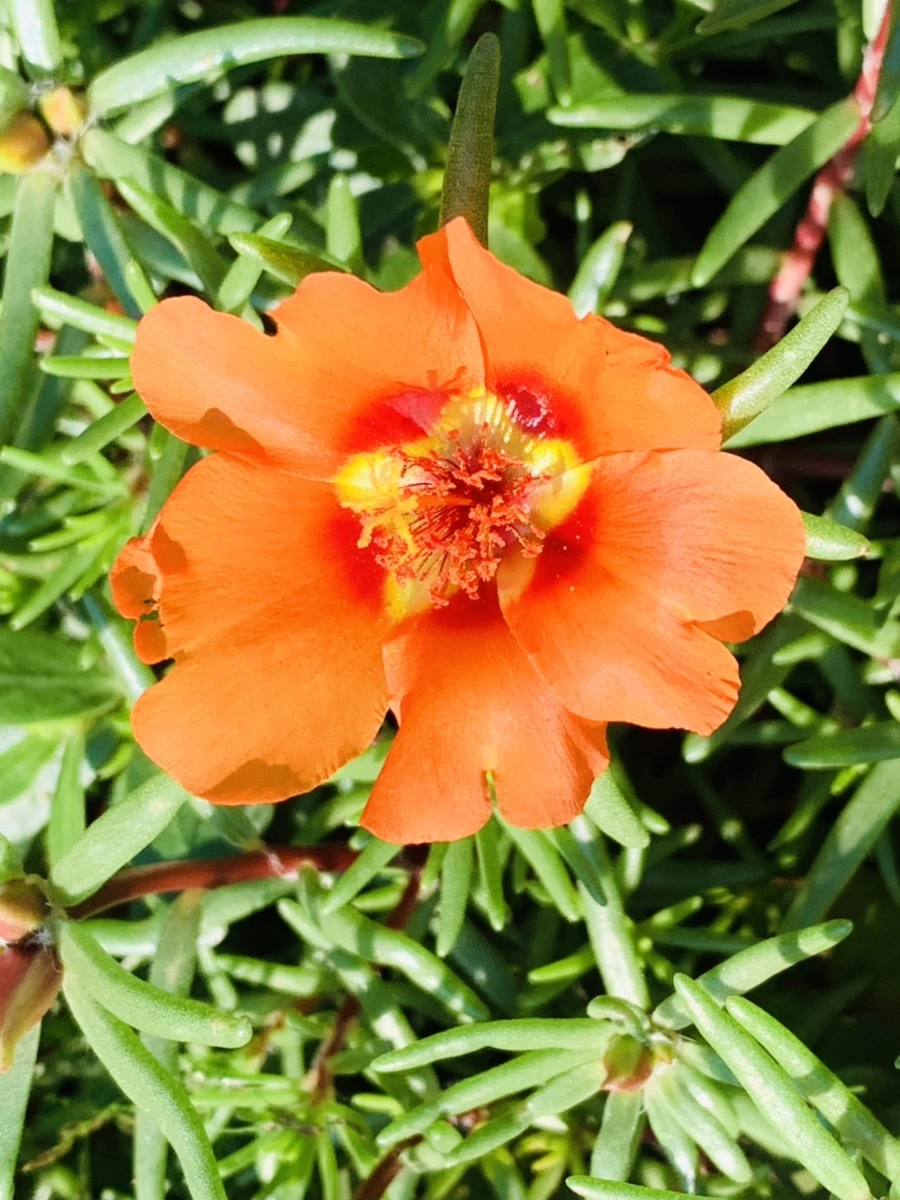 IMG_8430.jpg?type=w966