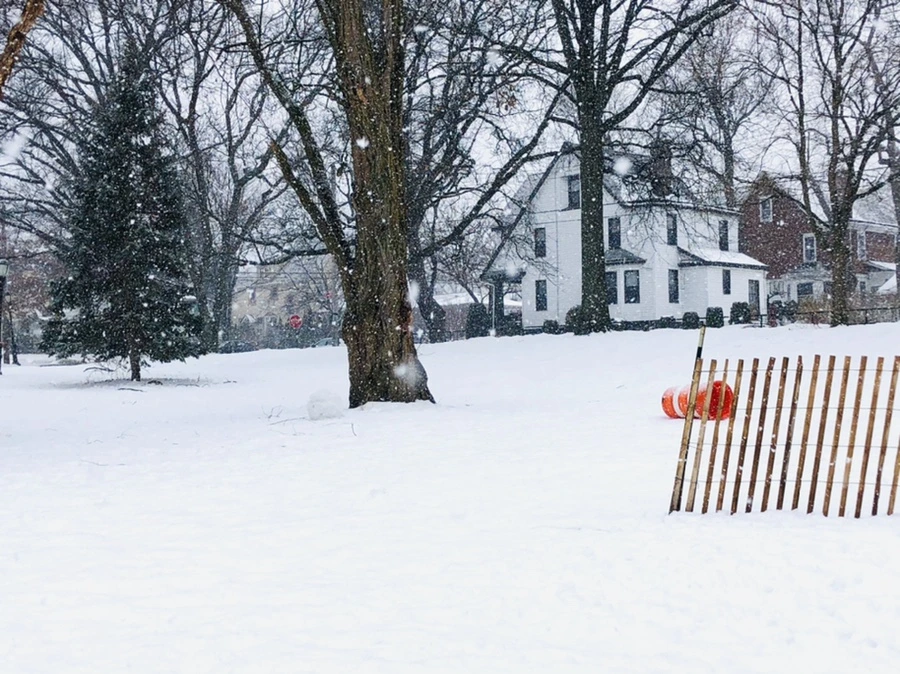 IMG_4070.jpg?type=w966