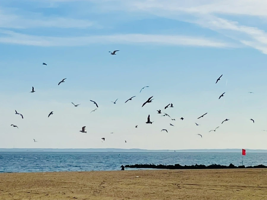 IMG_5031.jpg?type=w966