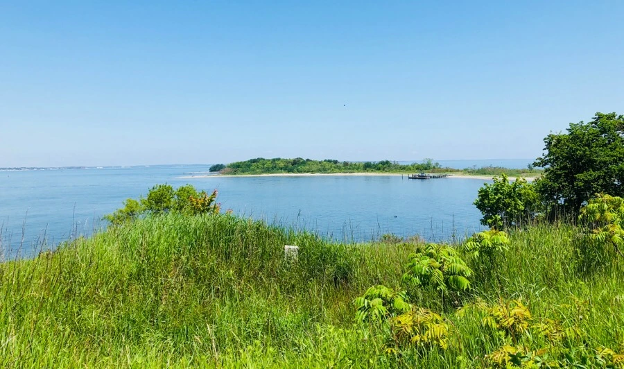 IMG_6710.jpg?type=w966