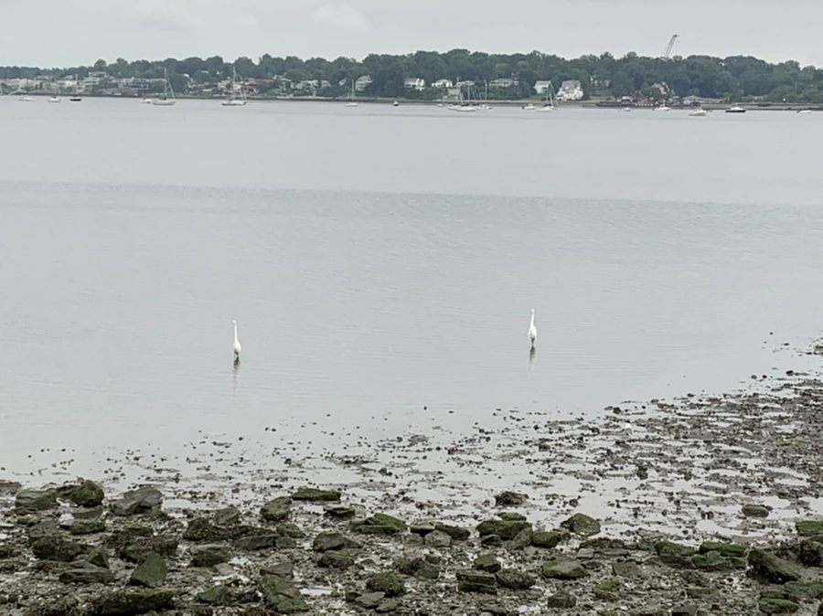 IMG_3678.jpg?type=w966