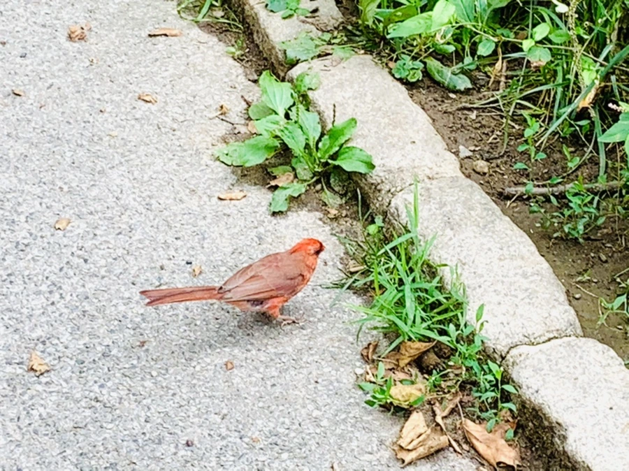 IMG_9918.jpg?type=w966