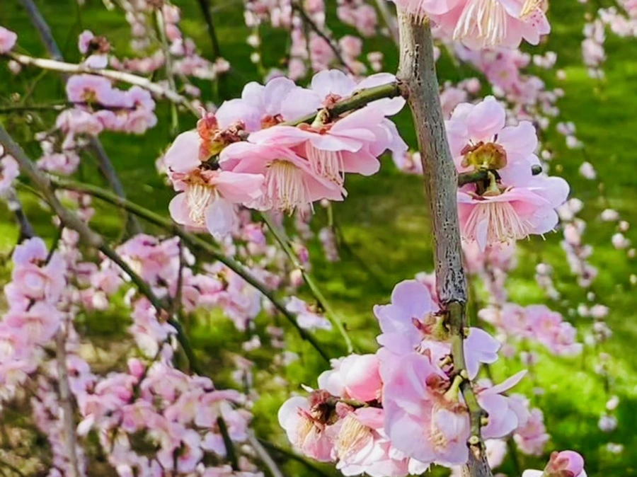 IMG_6598.jpg?type=w966