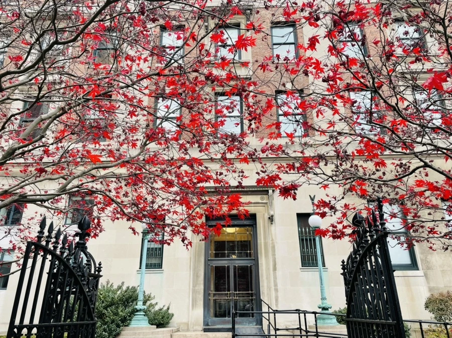 IMG_6305.jpg?type=w966