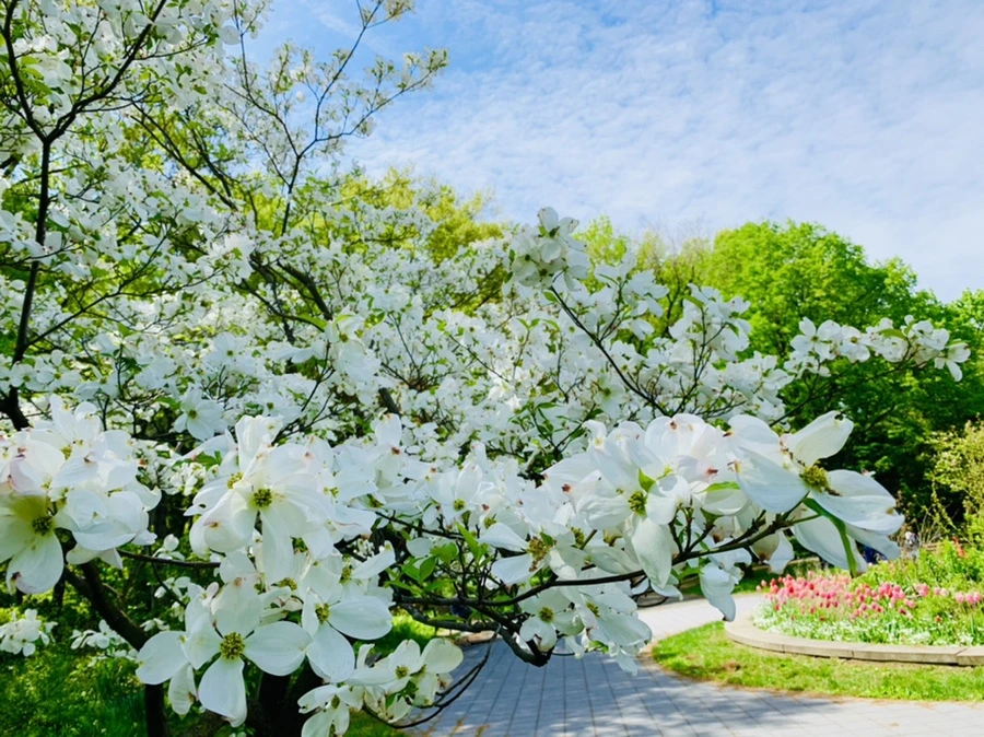 IMG_1147.jpg?type=w966