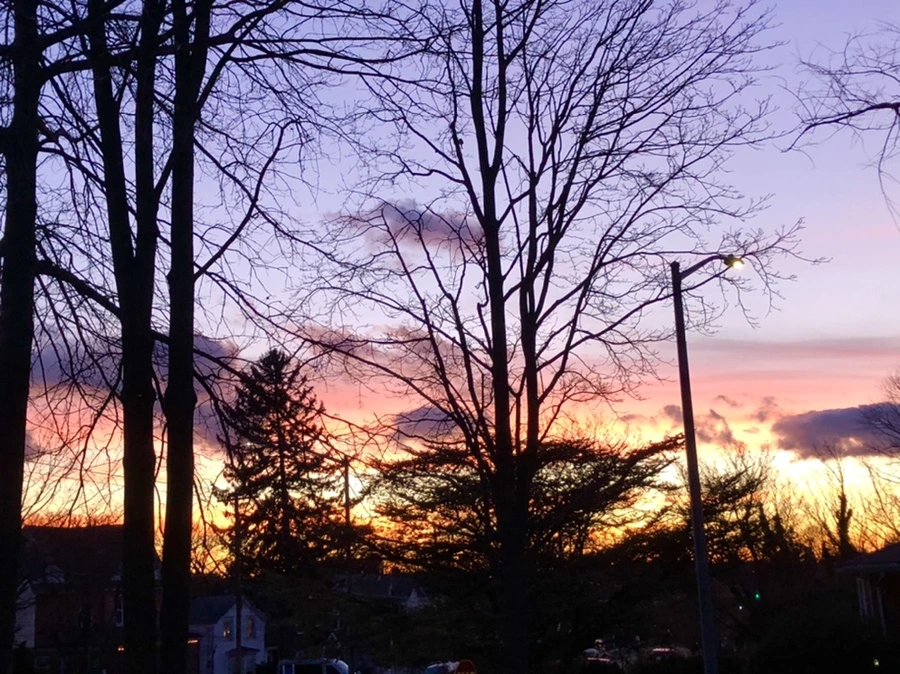 IMG_4610.jpg?type=w966