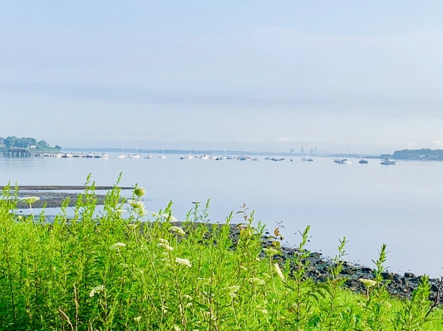 IMG_4379.jpg?type=w966