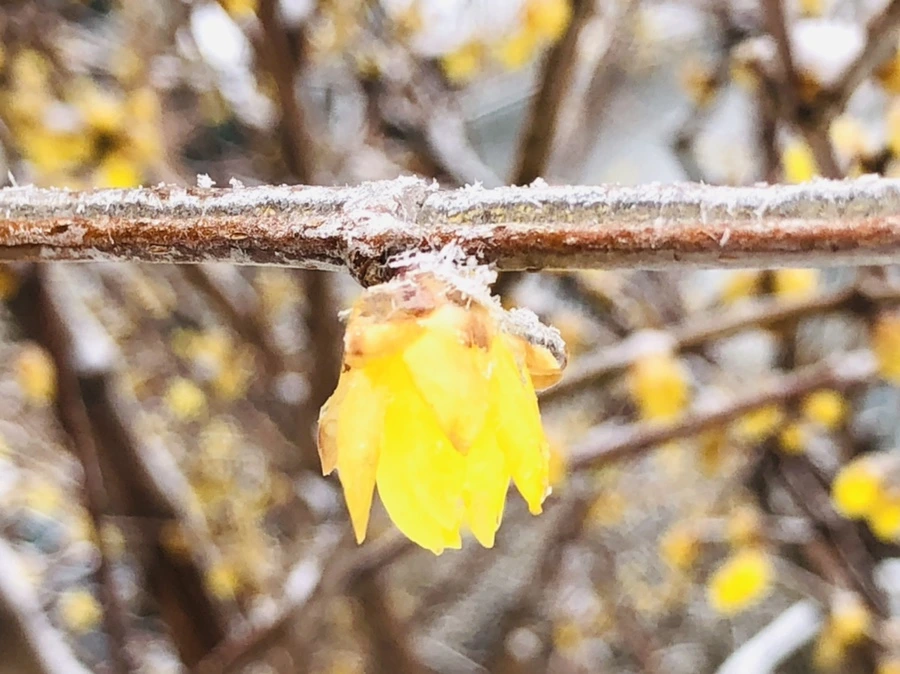 IMG_3511.jpg?type=w966