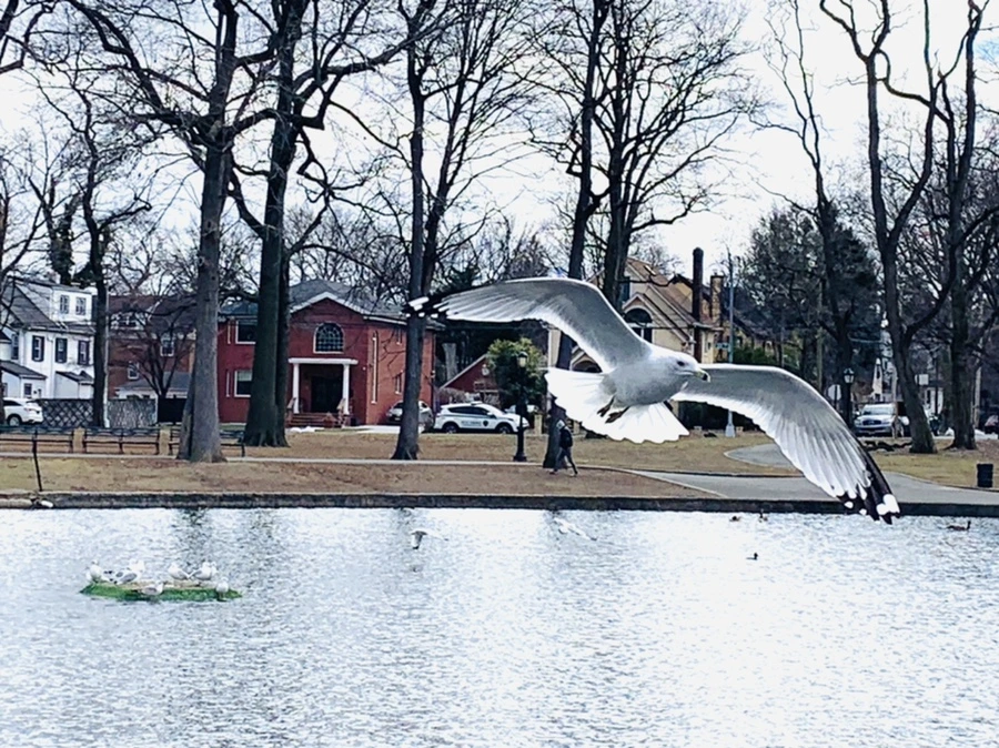 IMG_7917.jpg?type=w966