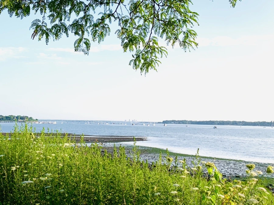 IMG_9829.jpg?type=w966