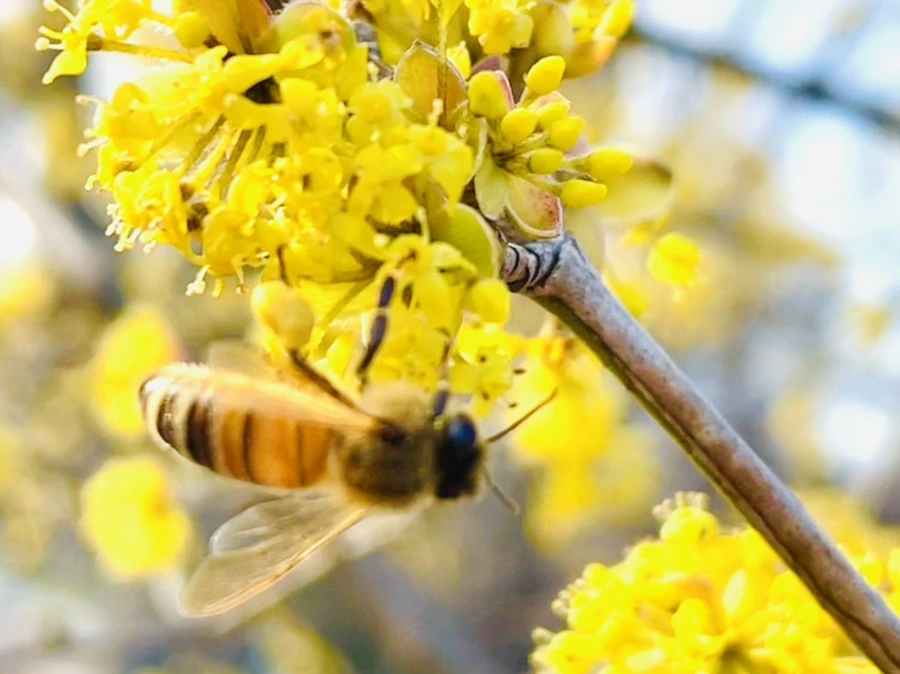 IMG_5935.jpg?type=w966