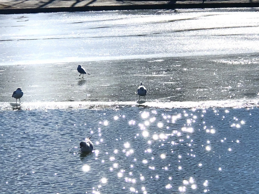 IMG_6816.jpg?type=w966