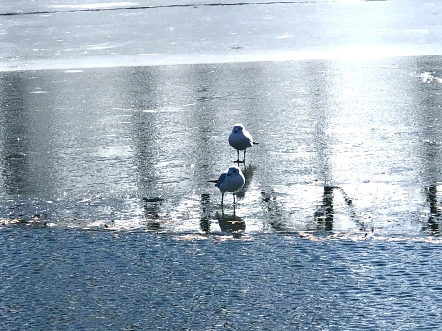 IMG_6871.jpg?type=w966